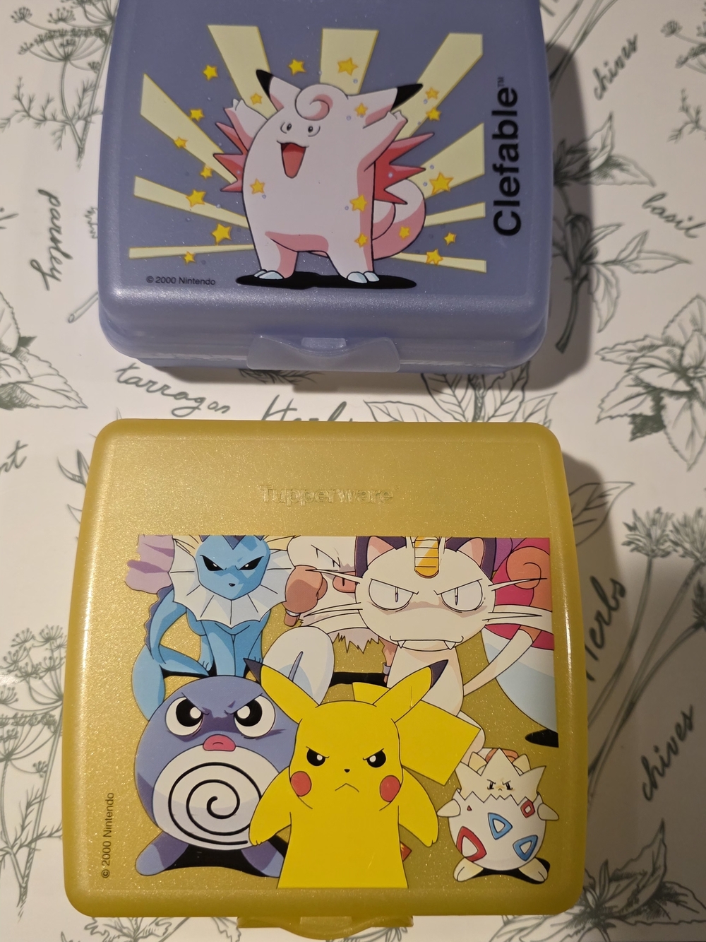 Pokemon Tupperware Sandwich Treat Box with Pikachu Meowth Topegi Vapore Clefable